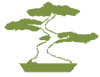Berkshire Bonsai | Logo
